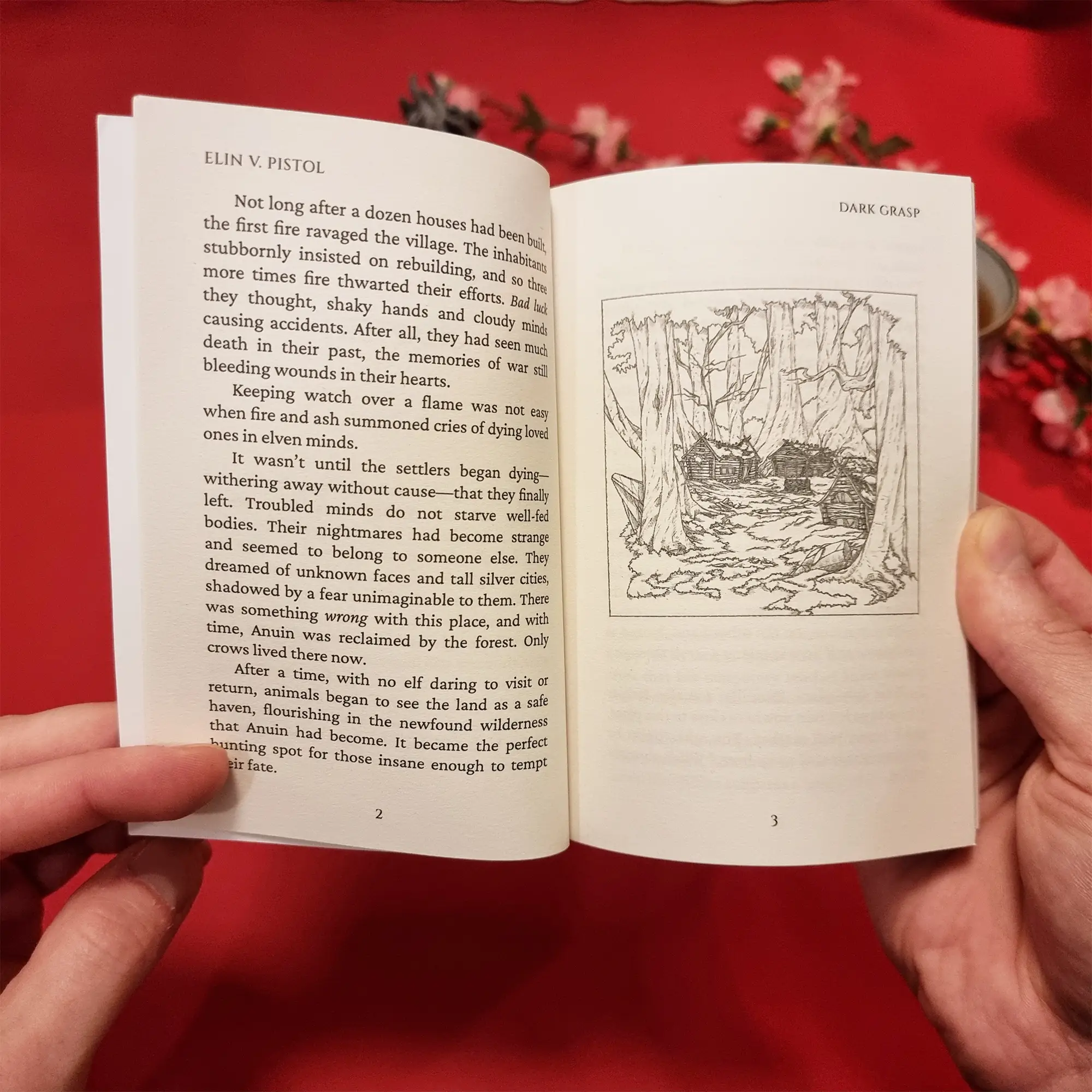 Dark Grasp book sample content with an illustration