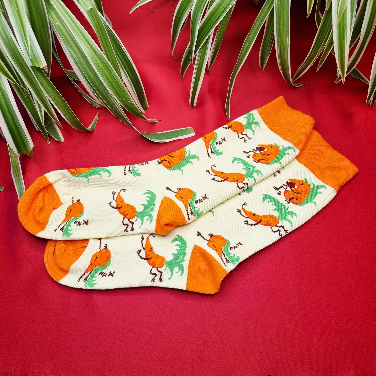 Smol Spaghettorium Corrat Socks